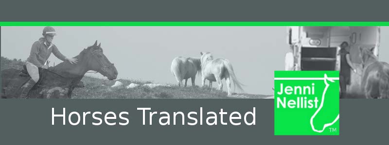 Horses Translated